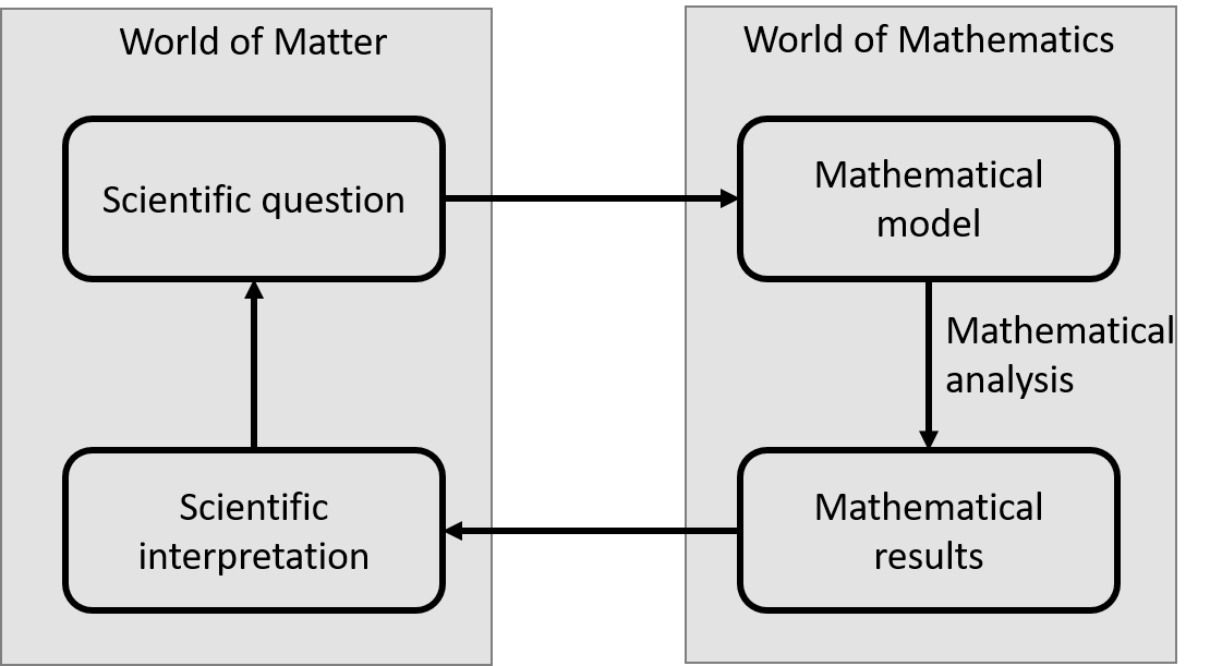 modelling cycle