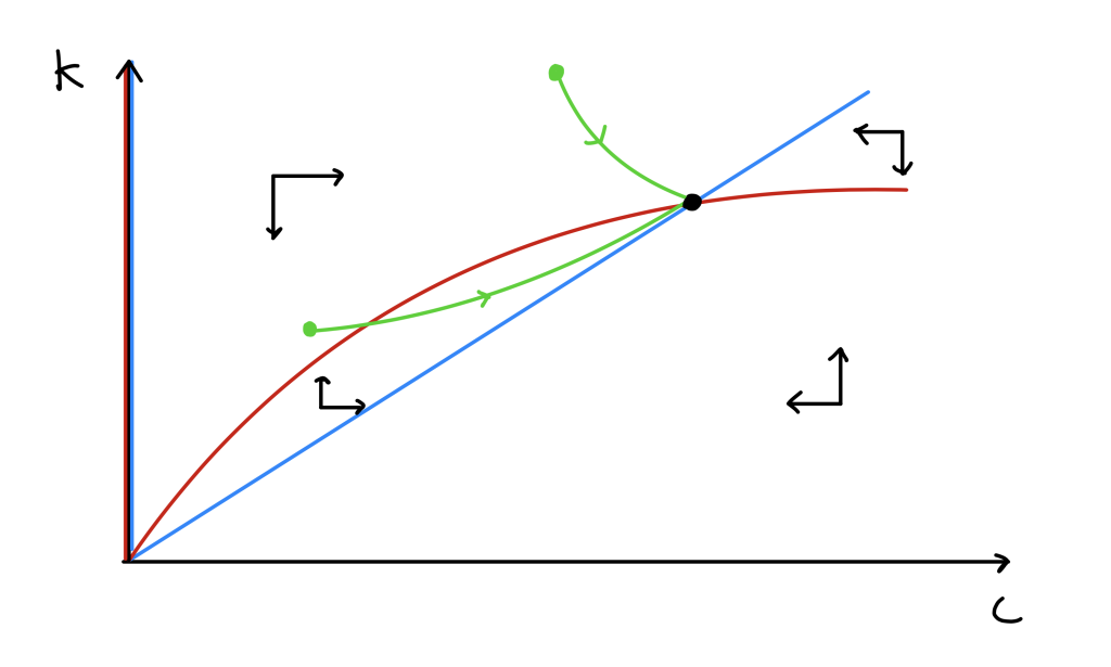 Sketch of phase portrait for the cancer model.