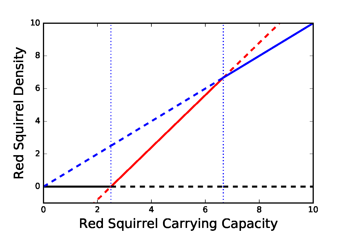 Bifurcation diagram of the competition model